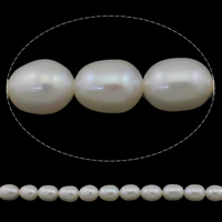 Ris odlad sötvattenspärla pärlor, Freshwater Pearl, naturlig, vit, Grade AAA, 6-7mm, Hål:Ca 0.8mm, Såld Per Ca 15 inch Strand