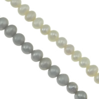 Brambor pěstované sladkovodní perle, Sladkovodní Pearl, více barev na výběr, Grade, 3.8-4.2mm, Otvor:Cca 0.8mm, Prodáno za Cca 15 inch Strand
