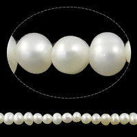 Brambor pěstované sladkovodní perle, Sladkovodní Pearl, přírodní, bílý, Grade AA, 2.8-3.2mm, Otvor:Cca 0.8mm, Prodáno za Cca 15 inch Strand