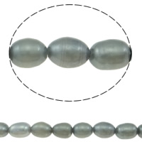 Perlas Arroz Freshwater, Perlas cultivadas de agua dulce, gris, Grado AA, 3.8-4mm, agujero:aproximado 0.8mm, Vendido para aproximado 15 Inch Sarta