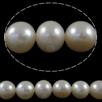 Kulaté kultivované sladkovodní perle, Sladkovodní Pearl, Kolo, přírodní, bílý, Grade, 9-10mm, Otvor:Cca 0.8mm, Prodáno za Cca 15.7 inch Strand