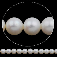 Perlas Redondas Freshwater, Perlas cultivadas de agua dulce, Esférico, natural, Blanco, 10-11mm, agujero:aproximado 0.8mm, Vendido para 16 Inch Sarta
