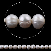 Turno coltivate in acqua dolce Perla, perla d'acquadolce coltivata naturalmente, Cerchio, naturale, bianco, grado A, 10-11mm, Foro:Appross. 0.8mm, Venduto per Appross. 14 pollice filo