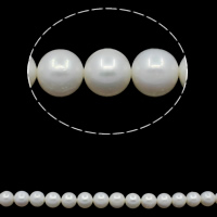 Kulaté kultivované sladkovodní perle, Sladkovodní Pearl, Kolo, přírodní, bílý, Grade, 9-10mm, Otvor:Cca 0.8mm, Prodáno za Cca 15.7 inch Strand