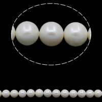 Turno coltivate in acqua dolce Perla, perla d'acquadolce coltivata naturalmente, Cerchio, naturale, bianco, grado A, 9-10mm, Foro:Appross. 0.8mm, Venduto per Appross. 15.7 pollice filo