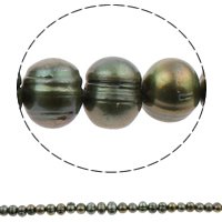Perlas Redondas Freshwater, Perlas cultivadas de agua dulce, Esférico, natural, verde oscuro, 10-11mm, agujero:aproximado 0.8mm, Vendido para aproximado 15 Inch Sarta