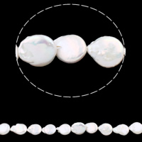 Keishi ferskvandskulturperle Beads, Ferskvandsperle, Coin, naturlig, hvid, 13-14mm, Hole:Ca. 0.8mm, Solgt Per Ca. 15 inch Strand