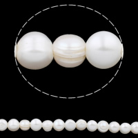 Bulvių išauginti gėlavandenių perlų karoliukai, Gėlo vandens perlų, Bulvė, natūralus, baltas, 11-12mm, Skylė:Apytiksliai 2.5mm, Parduota už Apytiksliai 15 Inch Strand