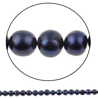 Bulvių išauginti gėlavandenių perlų karoliukai, Gėlo vandens perlų, Bulvė, tamsiai mėlyna, 10-11mm, Skylė:Apytiksliai 0.8mm, Parduota už Apytiksliai 14.5 Inch Strand