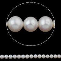 Bulvių išauginti gėlavandenių perlų karoliukai, Gėlo vandens perlų, Bulvė, natūralus, baltas, Įvertinimas, 10-11mm, Skylė:Apytiksliai 0.8mm, Parduota už Apytiksliai 15.7 Inch Strand