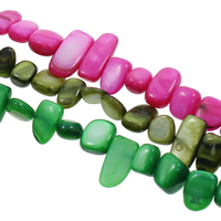 Gemstone Chips Freshwater Shell 10-20mm Approx 0.8mm Approx Sold Per Approx 31.5 Inch Strand