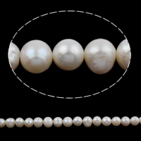 Bulvių išauginti gėlavandenių perlų karoliukai, Gėlo vandens perlų, Bulvė, natūralus, baltas, 10-11mm, Skylė:Apytiksliai 0.8mm, Parduota už Apytiksliai 15.7 Inch Strand