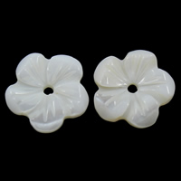 天然白いシェル・ビーズ, 白い貝, 花形, 13x2mm, 穴:約 1mm, 30パソコン/バッグ, 売り手 バッグ
