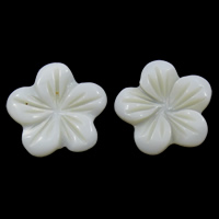 Κοχύλι Cabochons, Λευκό Shell, Λουλούδι, επίπεδη πλάτη, 14x2mm, 30PCs/τσάντα, Sold Με τσάντα
