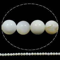 天然白いシェル・ビーズ, 白い貝, ラウンド形, 8mm, 穴:約 1mm, 長さ 約 15.7 インチ, 5ストランド/バッグ, 約 58パソコン/ストランド, 売り手 バッグ