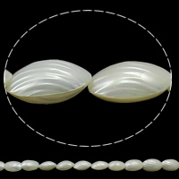 Natürliche weiße Muschelperlen, Schale, 5-25mmx14-34mm, Bohrung:ca. 1mm, Länge ca. 15 ZollInch, 2SträngeStrang/Tasche, ca. 18PCs/Strang, verkauft von Tasche
