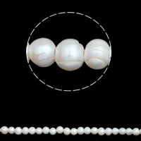 Bulvių išauginti gėlavandenių perlų karoliukai, Gėlo vandens perlų, Bulvė, natūralus, baltas, 11-12mm, Skylė:Apytiksliai 3mm, Parduota už Apytiksliai 15.3 Inch Strand