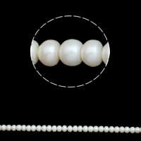 Knapp odlad sötvattenspärla pärlor, Freshwater Pearl, naturlig, vit, 10-11mm, Hål:Ca 0.8mm, Såld Per Ca 16 inch Strand