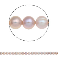 Bulvių išauginti gėlavandenių perlų karoliukai, Gėlo vandens perlų, Bulvė, natūralus, purpurinis, Įvertinimas A., 10-11mm, Skylė:Apytiksliai 0.8mm, Parduota už Apytiksliai 15 Inch Strand