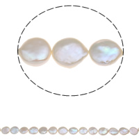 Coin odlad sötvattenspärla pärlor, Freshwater Pearl, naturlig, vit, 16-18mm, Hål:Ca 0.8mm, Såld Per Ca 15.3 inch Strand