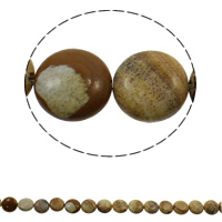 Picture jaspis perler, Picture Jasper, Flad Rund, naturlig, 16x6mm, Hole:Ca. 1.5mm, Ca. 25pc'er/Strand, Solgt Per Ca. 14.9 inch Strand