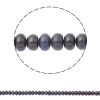 Tlačítko kultivované sladkovodní Pearl Beads, Rondelle, modrá černá, 5-6mm, Otvor:Cca 0.8mm, Prodáno za Cca 14.5 inch Strand