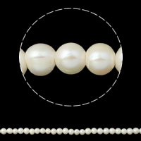 Bulvių išauginti gėlavandenių perlų karoliukai, Gėlo vandens perlų, Bulvė, natūralus, baltas, 8-9mm, Skylė:Apytiksliai 2mm, Parduota už Apytiksliai 15 Inch Strand