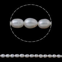 Riso coltivato in perla d'acqua dolce, perla d'acquadolce coltivata naturalmente, naturale, bianco, 8-9mm, Foro:Appross. 0.8mm, Venduto per Appross. 15.3 pollice filo