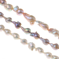 Słodkowodne hodowlane perły - koraliki, Perła słodkowodna hodowlana, Keishi, Naturalne, dostępnych więcej kolorów, 13-15mm, otwór:około 0.8mm, sprzedawane na około 15.3 cal Strand