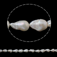 Słodkowodne hodowlane perły - koraliki, Perła słodkowodna hodowlana, Keishi, Naturalne, biały, 15-17mm, otwór:około 0.8mm, sprzedawane na około 15.3 cal Strand