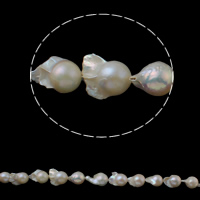 Gėlo vandens Kultūringas branduolį perlų karoliukai, Kultūringas Gėlavandeniai branduolį Perlas, Keishi, natūralus, baltas, 15-17mm, Skylė:Apytiksliai 0.8mm, Parduota už Apytiksliai 15.3 Inch Strand