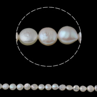 Coin odlad sötvattenspärla pärlor, Freshwater Pearl, naturlig, vit, 9-10mm, Hål:Ca 0.8mm, Såld Per Ca 15.3 inch Strand