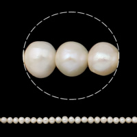 Button Kulturan Slatkovodni Pearl perle, Dugme, prirodan, Stardust, bijel, 9-10mm, Rupa:Približno 0.8mm, Prodano Per Približno 14.5 inčni Strand