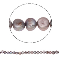 Bulvių išauginti gėlavandenių perlų karoliukai, Gėlo vandens perlų, Bulvė, natūralus, purpurinis, Įvertinimas, 9-10mm, Skylė:Apytiksliai 0.8mm, Parduota už 14 Inch Strand