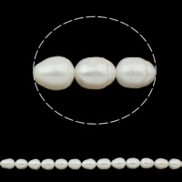 Riso coltivato in perla d'acqua dolce, perla d'acquadolce coltivata naturalmente, naturale, bianco, AAA Grade, 10-11mm, Foro:Appross. 0.8mm, Lunghezza 14.5 pollice, 10Strandstrefolo/lotto, Venduto da lotto