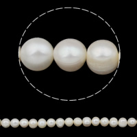 Cultured Round Freshwater Pearl Beads natural white Grade A 9-10mm Approx 0.8mm Sold Per 14.5 Inch Strand