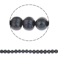Bulvių išauginti gėlavandenių perlų karoliukai, Gėlo vandens perlų, Bulvė, juodas, 11-12mm, Skylė:Apytiksliai 0.8mm, Parduota už Apytiksliai 15 Inch Strand