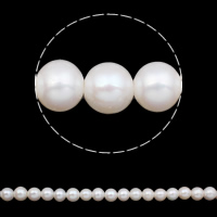 Bulvių išauginti gėlavandenių perlų karoliukai, Gėlo vandens perlų, Bulvė, natūralus, baltas, 11-12mm, Skylė:Apytiksliai 2mm, Parduota už Apytiksliai 15.7 Inch Strand