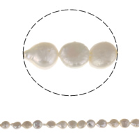 Monetų Kultūringas gėlavandenių perlų karoliukai, Gėlo vandens perlų, Moneta, natūralus, baltas, 10-11mm, Skylė:Apytiksliai 0.8mm, Parduota už Apytiksliai 15.3 Inch Strand