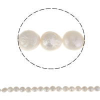 Coin odlad sötvattenspärla pärlor, Freshwater Pearl, naturlig, vit, 8-9mm, Hål:Ca 0.8mm, Såld Per Ca 15.3 inch Strand