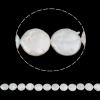 Coin odlad sötvattenspärla pärlor, Freshwater Pearl, naturlig, vit, 11-12mm, Hål:Ca 0.8mm, Såld Per Ca 15.3 inch Strand