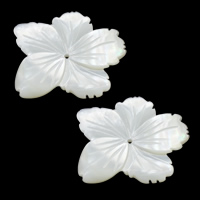 Naturalne białe koraliki z muszli, Muszla biała, Kwiat, 22x18-19x2mm, otwór:około 0.5mm, 10komputery/wiele, sprzedane przez wiele