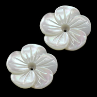 Naturalne białe koraliki z muszli, Muszla biała, Kwiat, 18x18x3mm, otwór:około 0.5mm, 10komputery/wiele, sprzedane przez wiele
