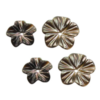Spacer Kralen Sieraden, Black Shell, Bloem, natuurlijk, verschillende grootte voor keus, Gat:Ca 1mm, 20pC's/Lot, Verkocht door Lot