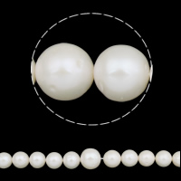 淡水養殖の真円真珠, 天然有核フレッシュウォーターパール, ラウンド形, 天然, ホワイト, グレードA, 13-15mm, 穴:約 0.8mm, で販売される 約 15.7 インチ ストランド