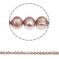 Bulvių išauginti gėlavandenių perlų karoliukai, Gėlo vandens perlų, Bulvė, natūralus, purpurinis, 8-9mm, Skylė:Apytiksliai 0.8mm, Parduota už Apytiksliai 14.5 Inch Strand