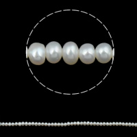 Knapp odlad sötvattenspärla pärlor, Freshwater Pearl, naturlig, vit, 2-3mm, Hål:Ca 0.8mm, Såld Per Ca 15.5 inch Strand