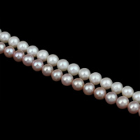 Brambor pěstované sladkovodní perle, Sladkovodní Pearl, přírodní, více barev na výběr, 7-8mm, Otvor:Cca 0.8mm, Prodáno za Cca 15.5 inch Strand