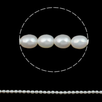 Riso coltivato in perla d'acqua dolce, perla d'acquadolce coltivata naturalmente, naturale, bianco, 5-6mm, Foro:Appross. 0.8mm, Venduto per Appross. 15 pollice filo