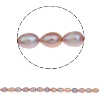 Ris odlad sötvattenspärla pärlor, Freshwater Pearl, naturlig, flerfärgad, 10-11mm, Hål:Ca 0.8mm, Såld Per Ca 15 inch Strand